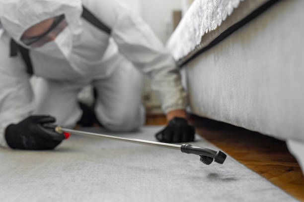 Professional Pest Control technician working in Lillington, NC