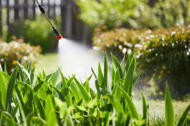 24/7 Emergency Termite Control experts in Lillington, NC