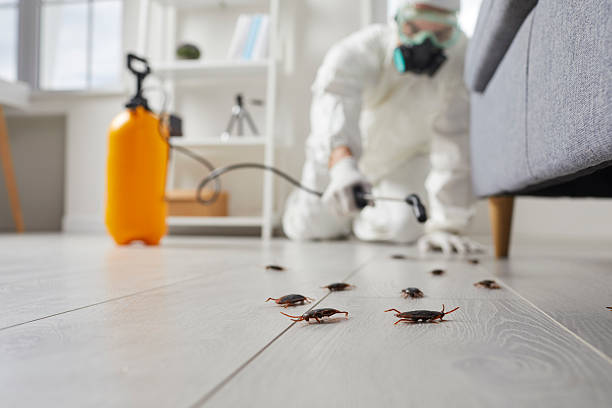 Trusted Rodent Control service in Lillington, NC - Nex Pest Control