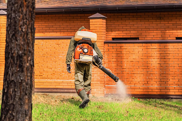 Trusted Emergency Pest Control service in Lillington, NC - Nex Pest Control